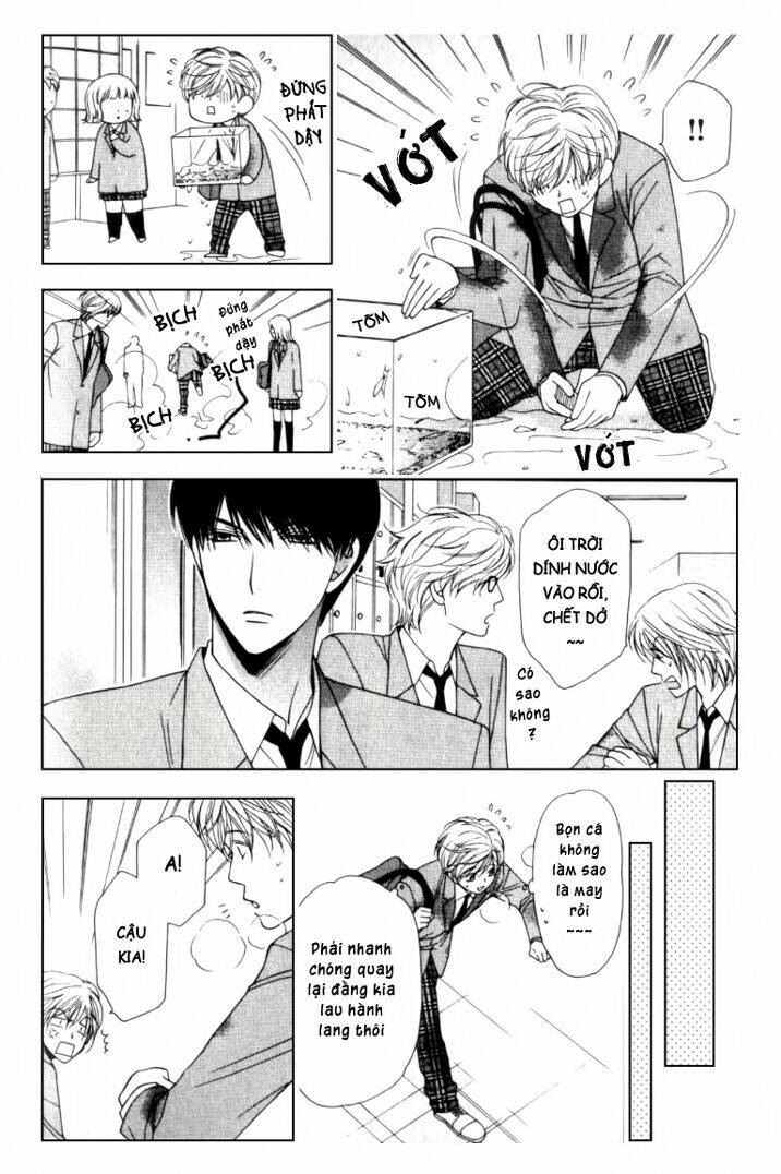 neko neko honey chapter 2 13