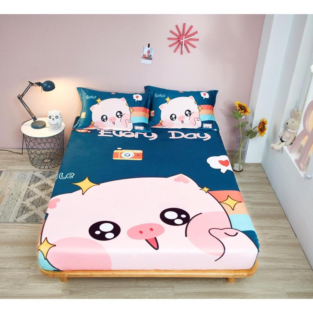 Bộ ga gối nỉ Hako cao cấp,gồm 1 ga 2 vỏ gối nằm,mẫu hổ vàng