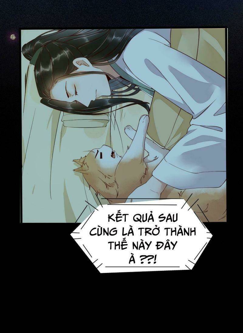 sát thủ vương phi không dễ chọc chapter 41 11