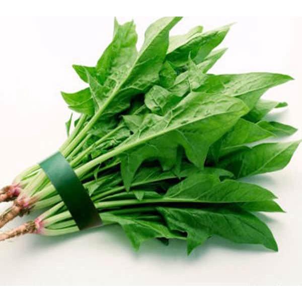 Hạt Giống Rau Cải Bó Xôi Chịu Nhiệt 20g - Rau Chân Vịt, Cây Khỏe - Mập