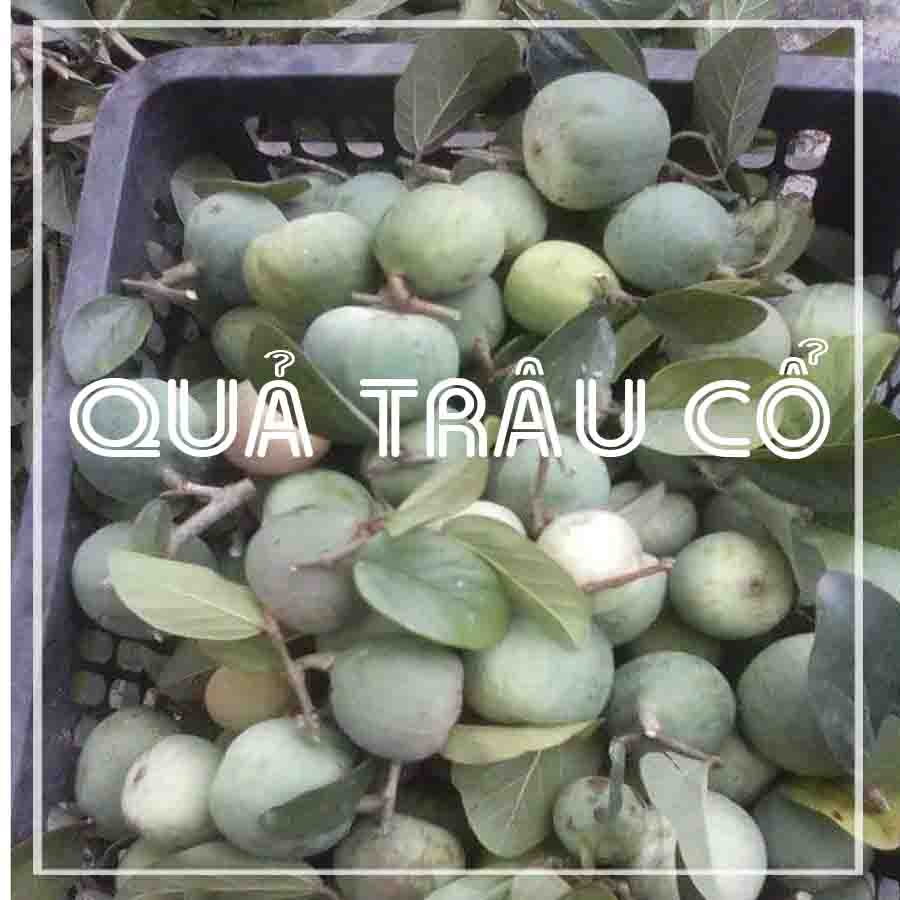 Quả Trâu Cổ khô đóng gói 1kg