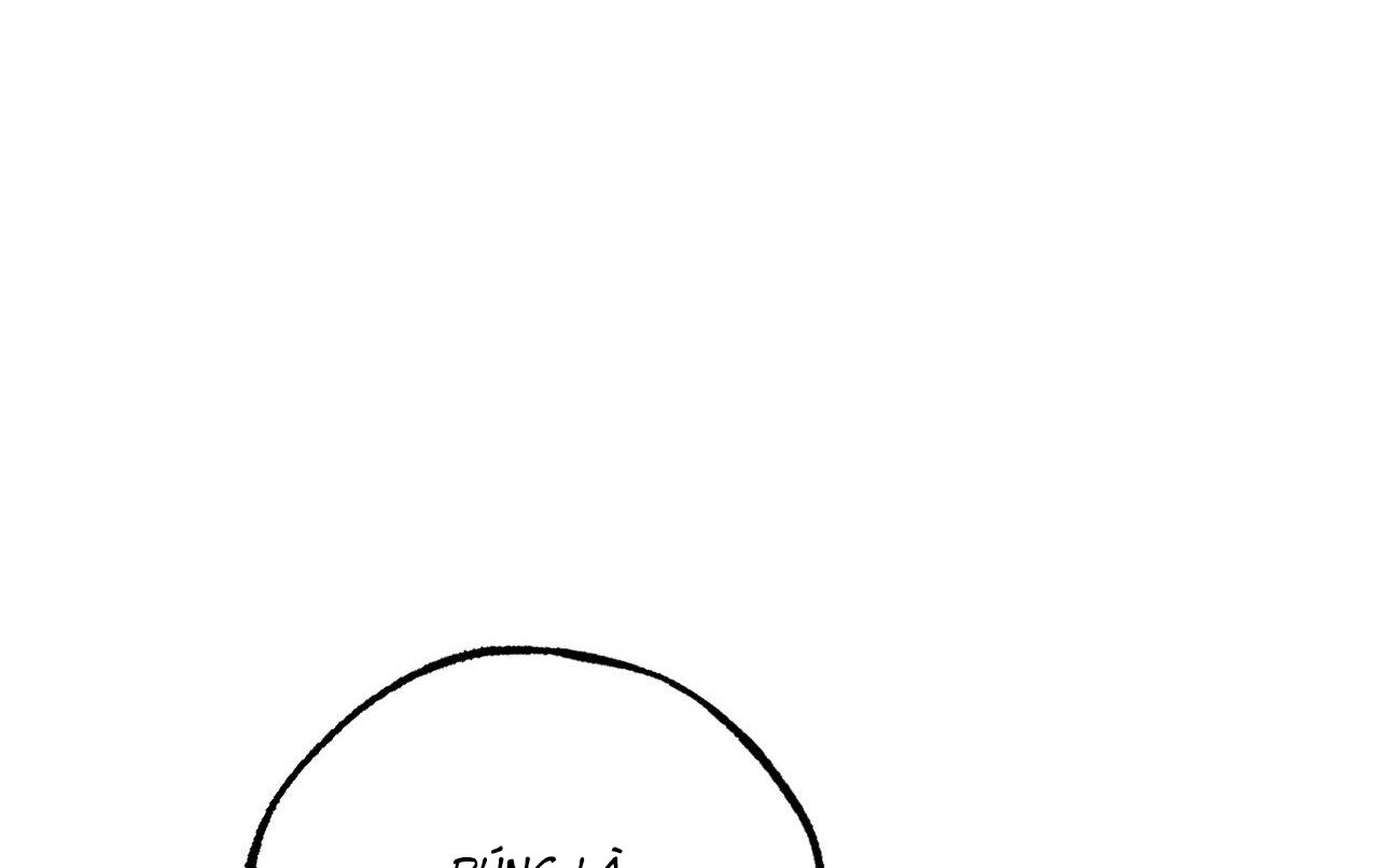 những chú thỏ của hapypy chapter 61 177