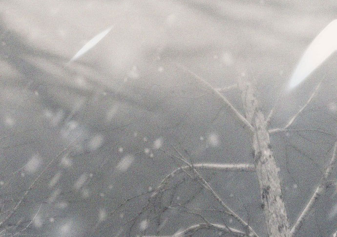 Thời Đại Của Oman chapter 1.1 58