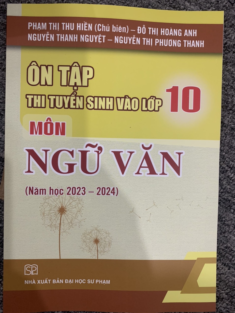 Ôn Tập Thi Tuyển Sinh Vào Lớp 10 Môn Ngữ Văn