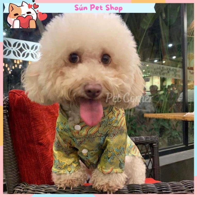 Quần áo Tết cho chó mèo, áo dài vải gấm cho thú cưng