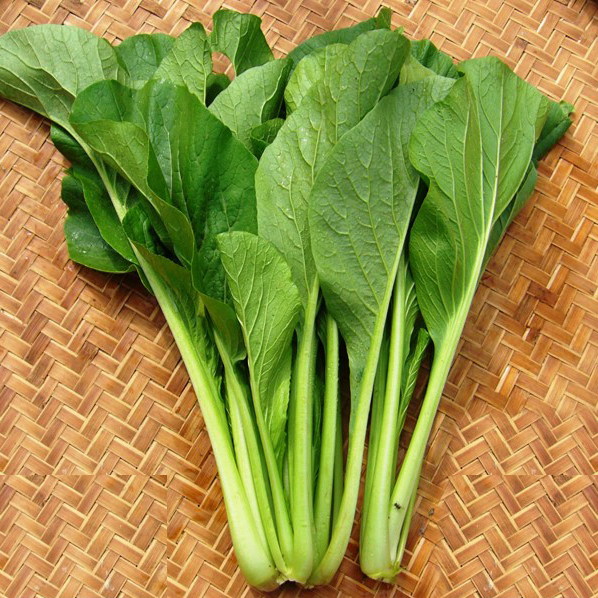 Hạt giống Cải Ngọt, Nảy Mầm Cao, Sinh Trưởng Và Phát Triển Khỏe, Kháng Bệnh Cao - Nông Sản Vàng