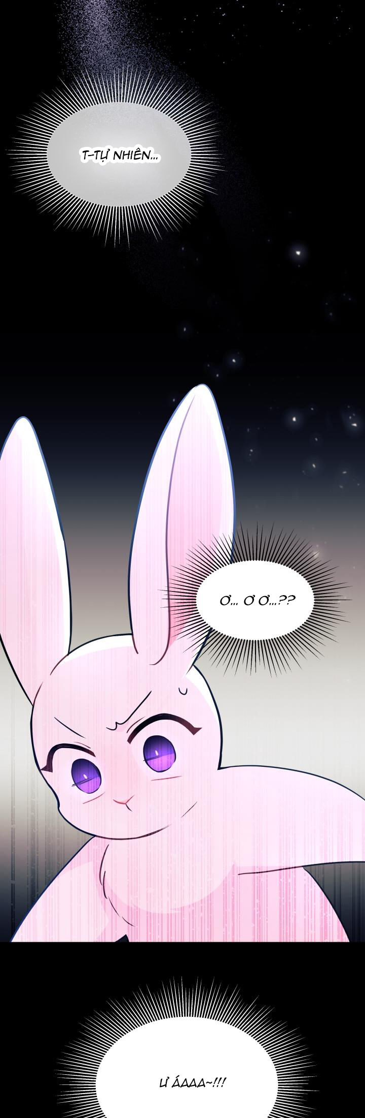 mối liên kết giữa báo đen và bé thỏ chapter 25 7