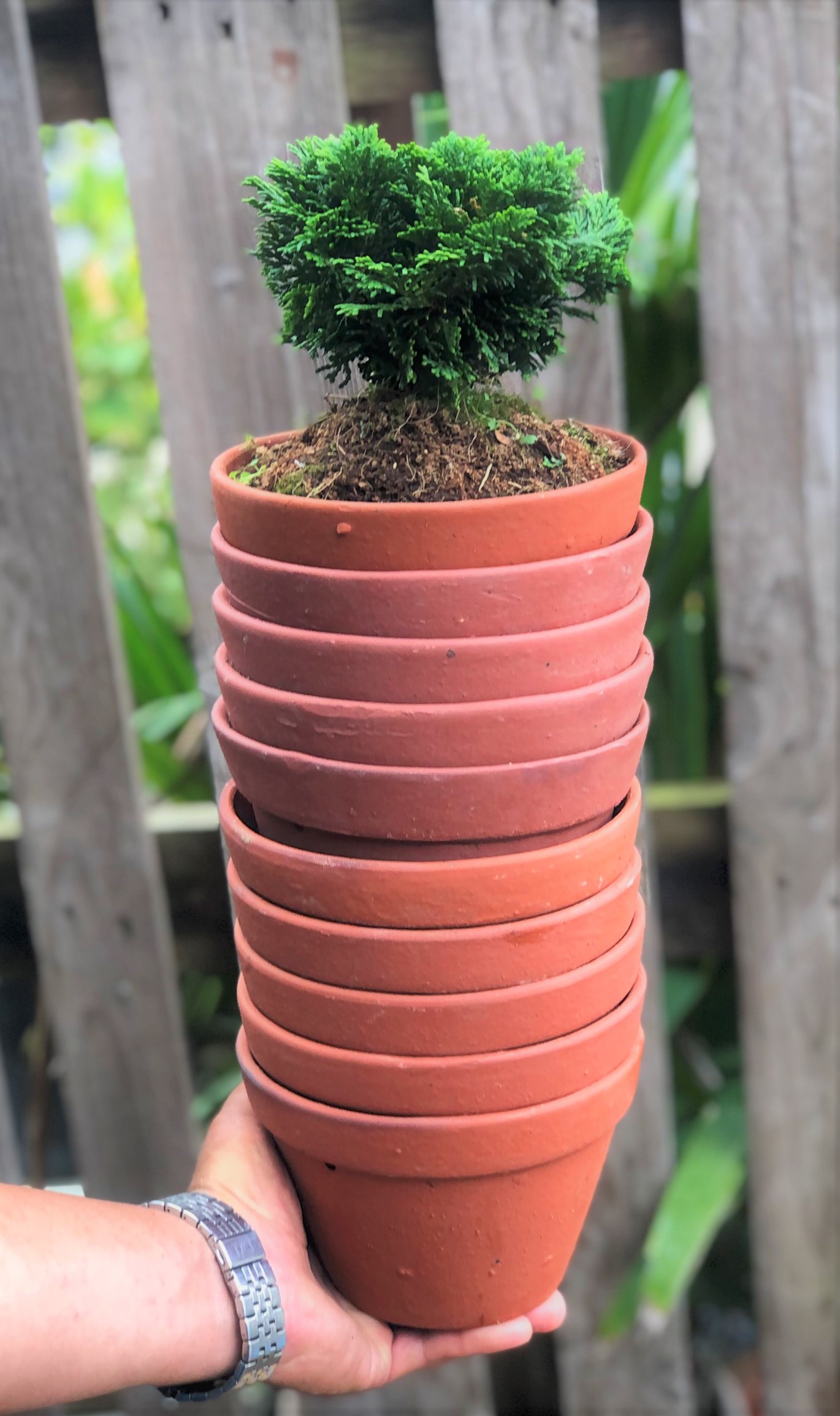 Bộ 10 chậu đất nung trồng lan trồng cây số 3 rộng 15cm x cao 11 cm