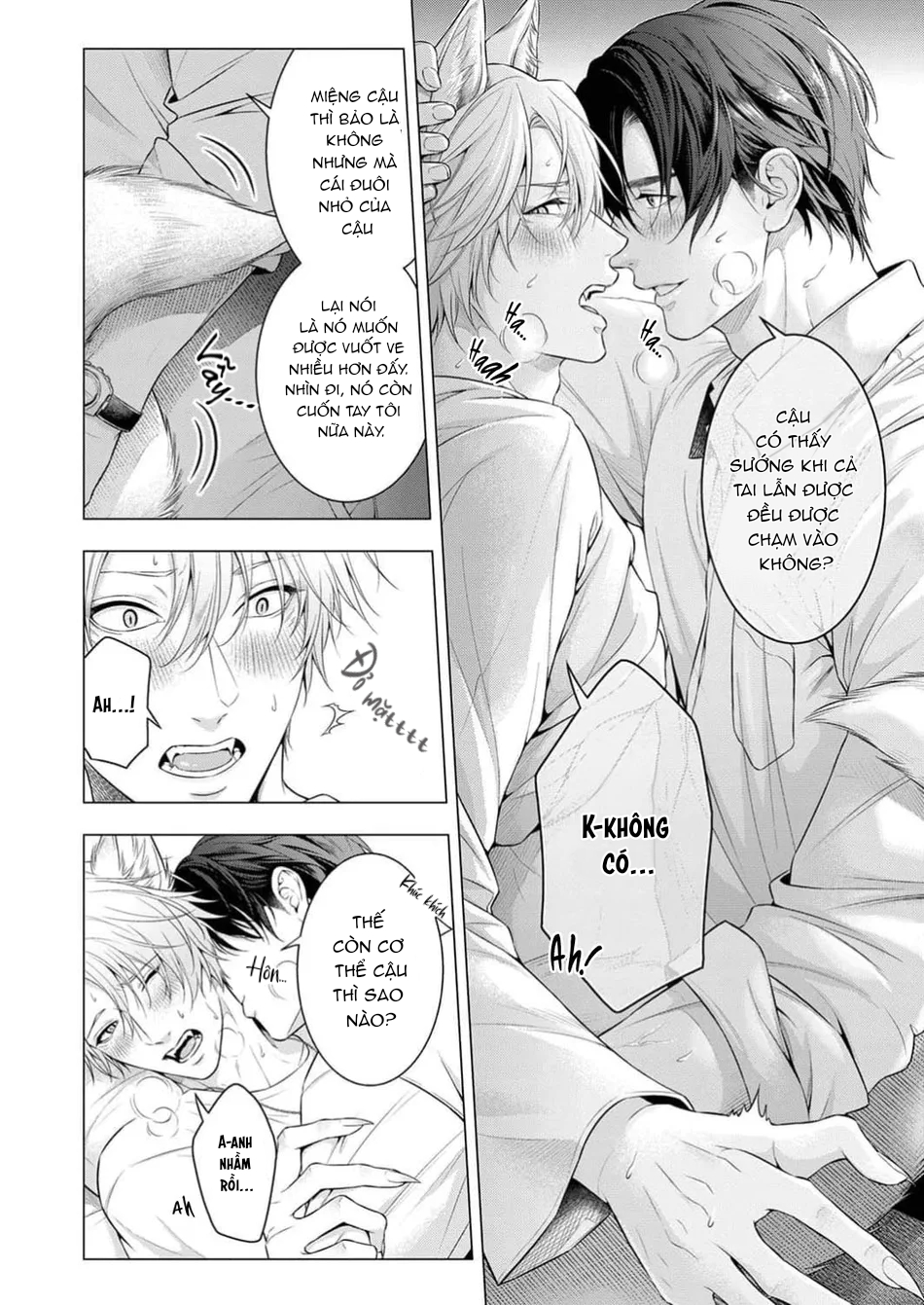 hãy để anh chạm vào cái đuôi hư hỏng này nhé chapter 1 14