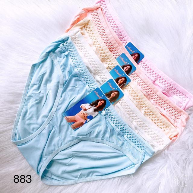 Combo 10 Quần lót nữ thun lạnh Size 50-65kg