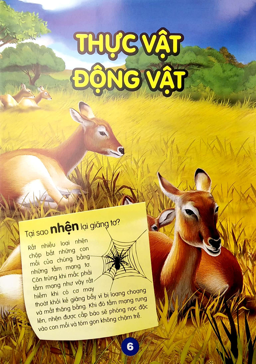 CHÌA KHÓA MỞ CỬA THẾ GIỚI - EM MUỐN BIẾT TẠI SAO?_VT