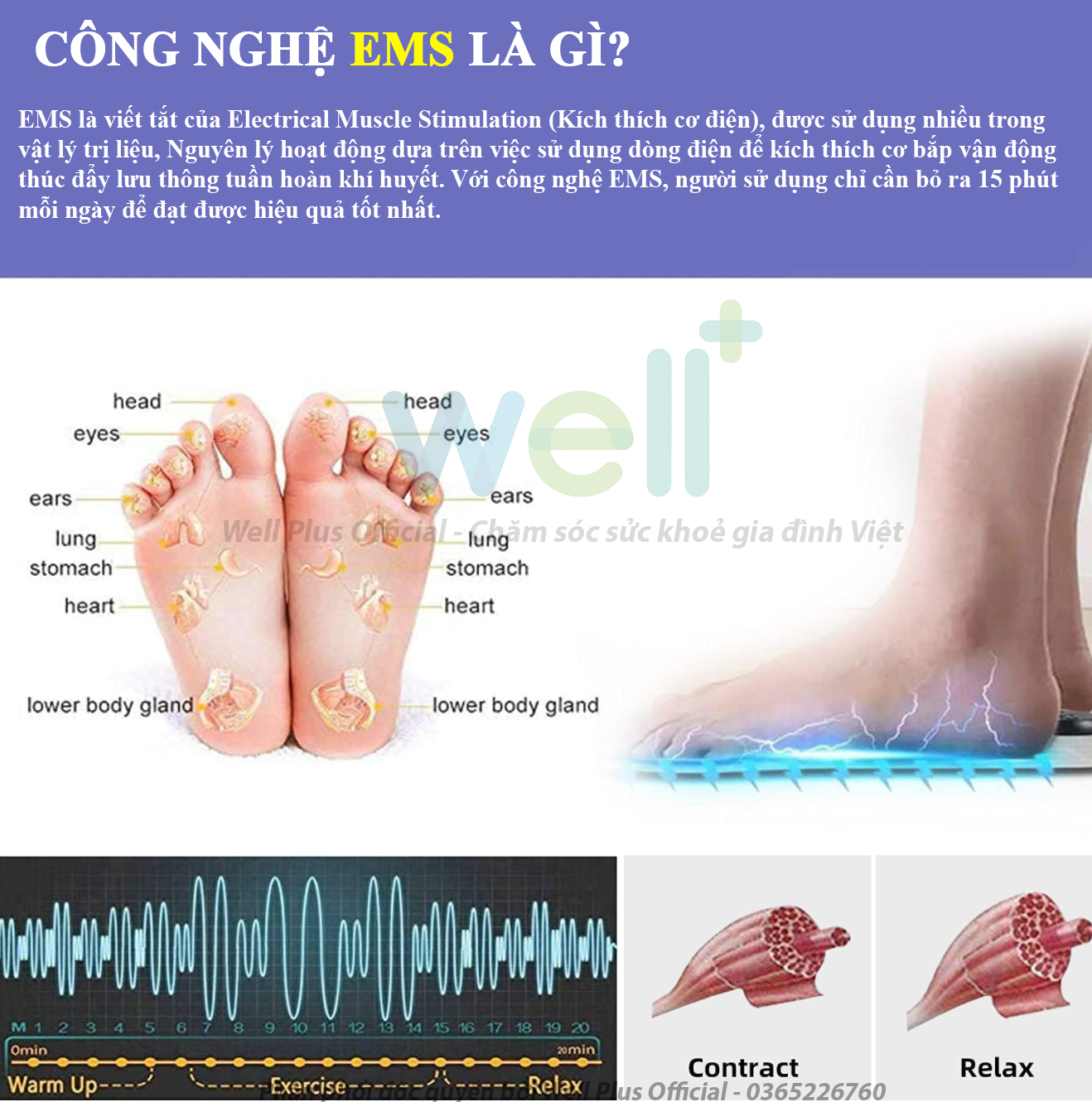 Thảm Mát Xa Chân - Điện Sinh Học EMS Hỗ Trợ Giảm Đau Mỏi, Cải Thiện Tuần Hoàn Máu
