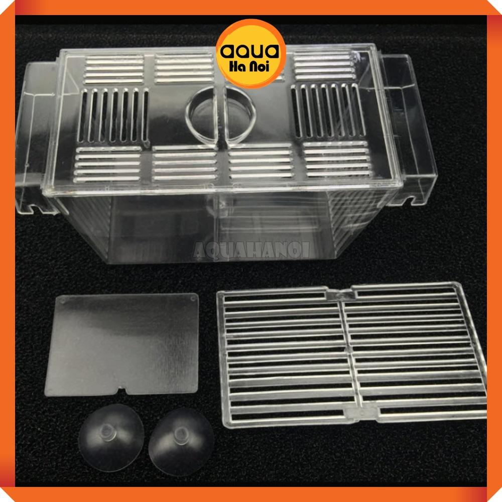Lồng dưỡng cá tép đẻ mica - cỡ lớn 22*10*10 cm - lồng tách cá tép sinh sản - dưỡng cá bệnh - có 2 ngăn cách ly