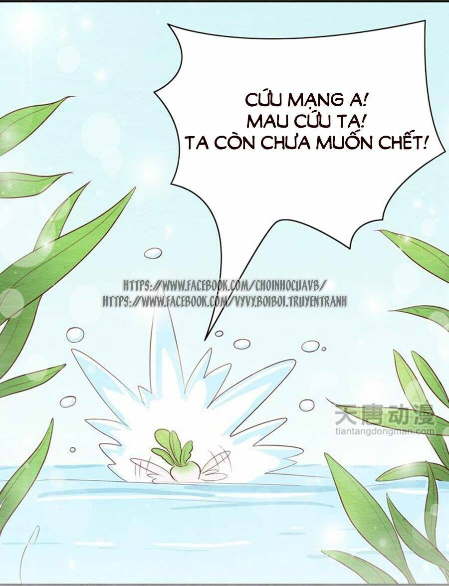 nhân hoa duyên chi sư phụ đại nhân cầu sủng ái chapter 5 11