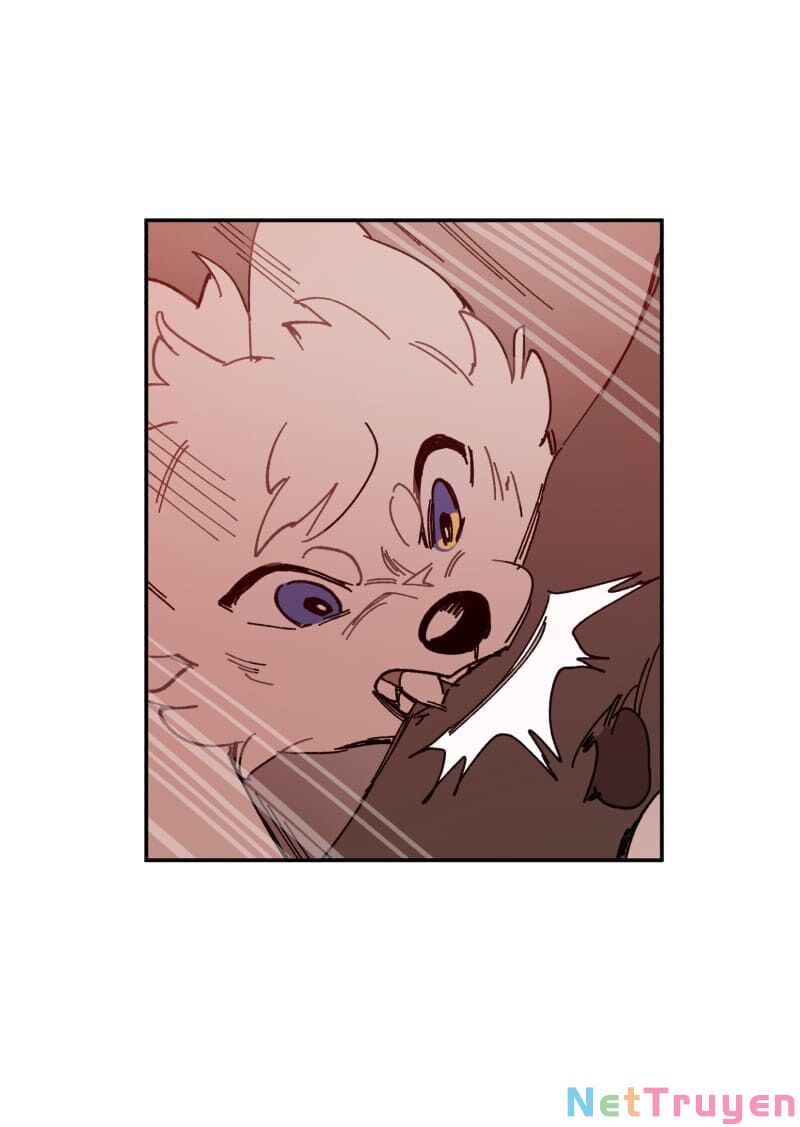 lumine - cội nguồn ánh sáng chapter 107 23