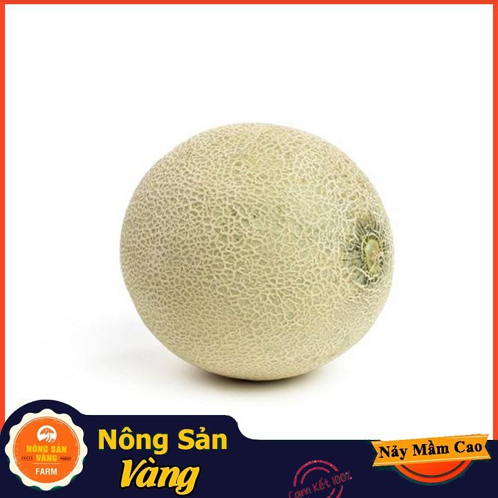 Hạt giống Dưa Lưới Ruột Vàng ( Gói 20 hạt ) - Nông Sản Vàng