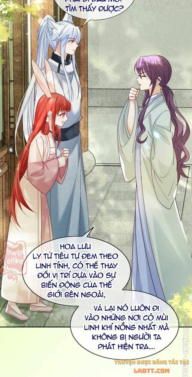 hắc hóa nam chính trực tuyến nuôi thỏ chapter 48 17