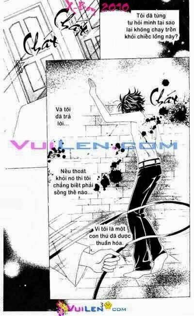 cuộc sống của tôi chapter 8 34