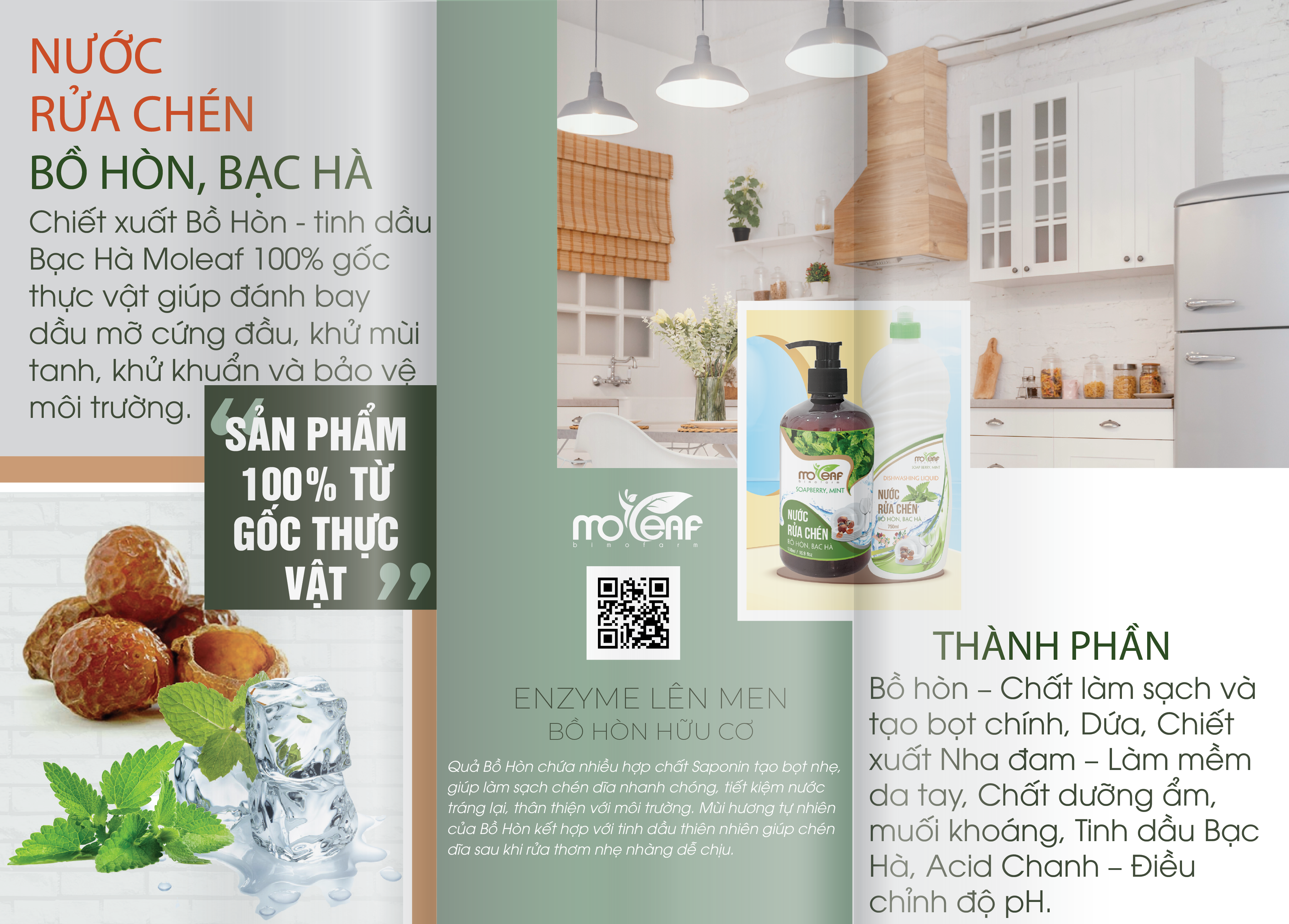 Nước Rửa Chén Sinh Học Moleaf Tinh dầu Bạc Hà - Lên Men Tự Nhiên Từ Dứa Và Bồ Hòn An Toàn Cho Da Tay Và Diệt Khuẩn