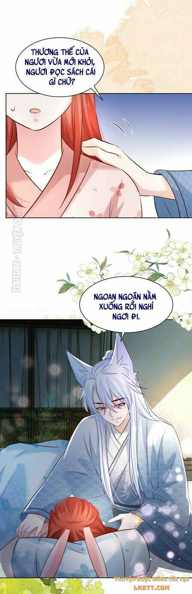 hắc hóa nam chính trực tuyến nuôi thỏ chapter 43 14