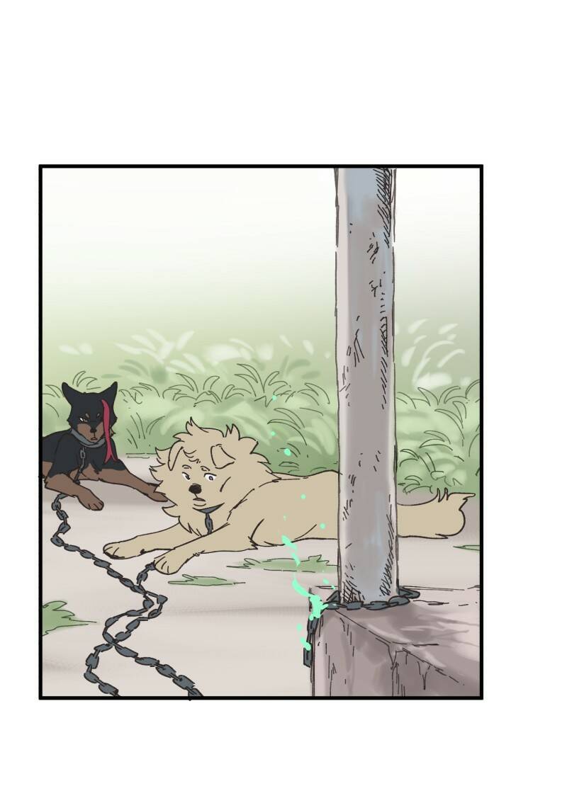 lumine - cội nguồn ánh sáng chapter 151 12