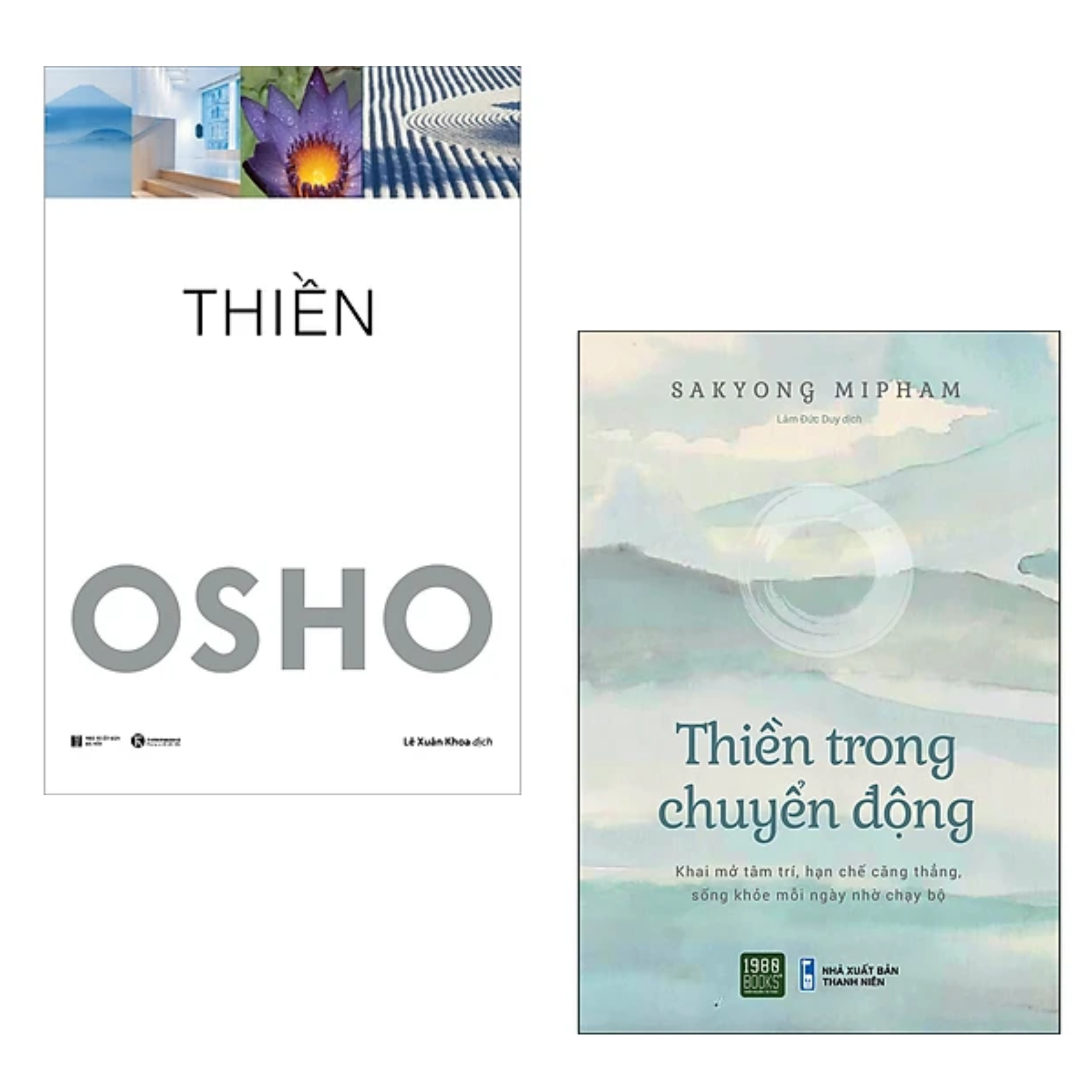 Combo 2 cuốn sách về Thiền : Thiền Trong Chuyển Động + Thiền - Osho