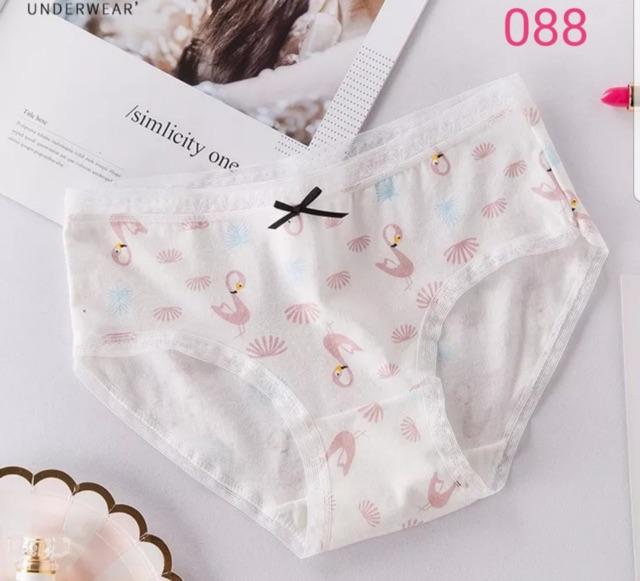 Combo 5 Quần Lót Nữ Cotton Dễ Thương 088 – Mềm Mại, Thấm Hút, Co Giãn
