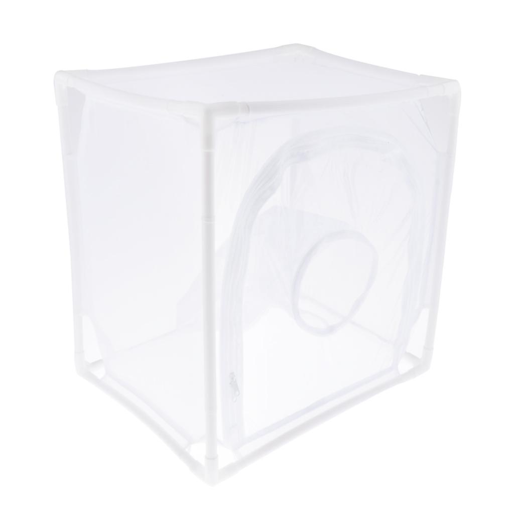 Butterfly Plant Habitat Terrarium Cage