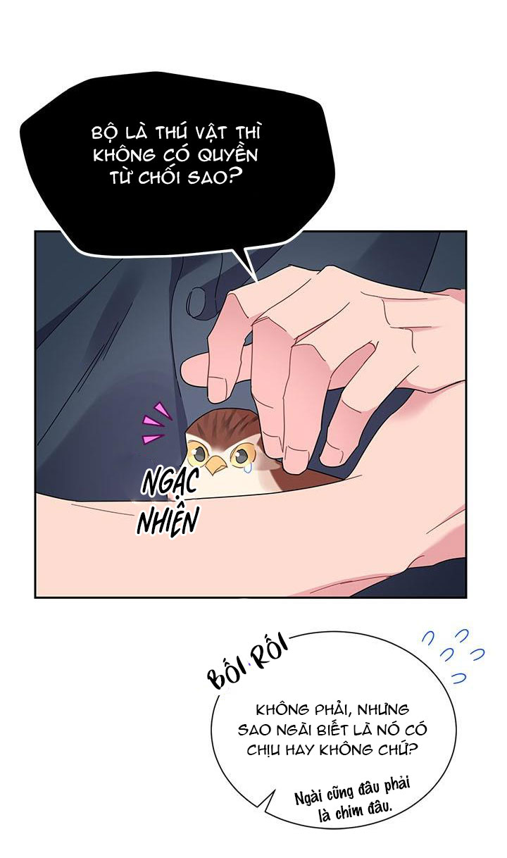 công chúa của loài chim chapter 25 11