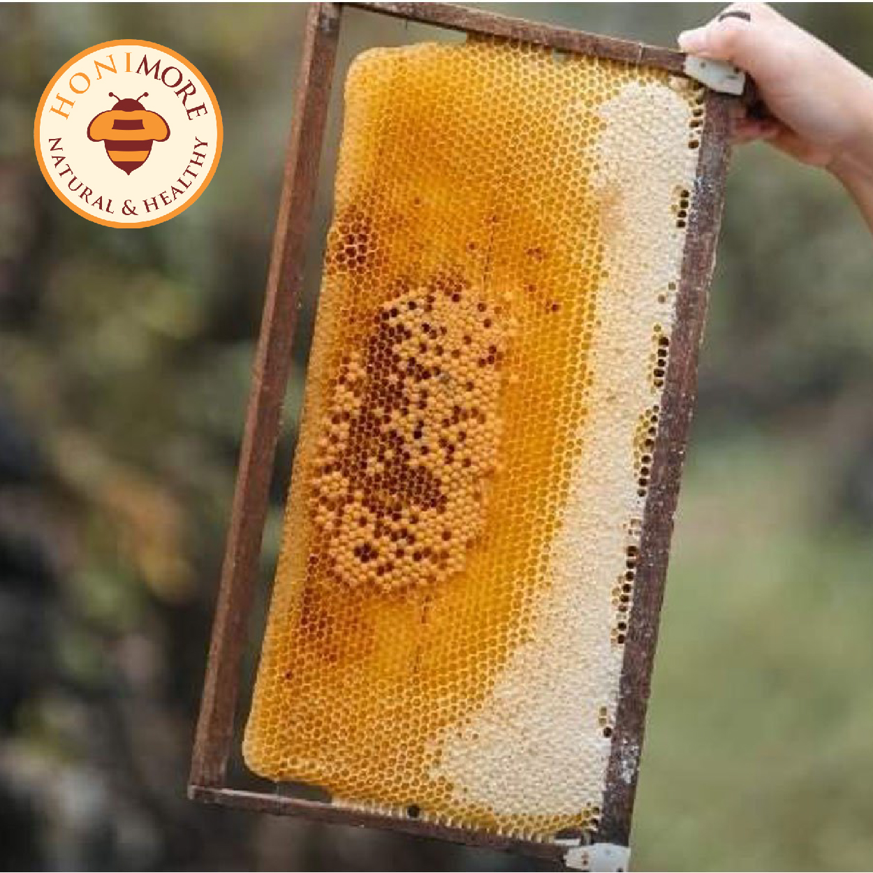 Combo Mật ong rừng Hoa Nhãn Cổ Thụ 500g - TẶNG 1 chai mật ong nguyên chất 500g - 100% mật ong chín Honimore 500g