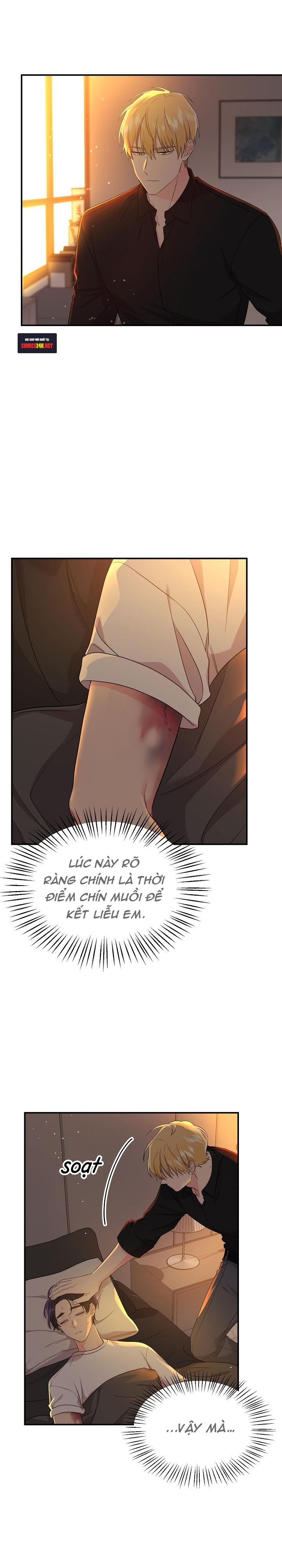 hoa ly hổ chapter 23 19