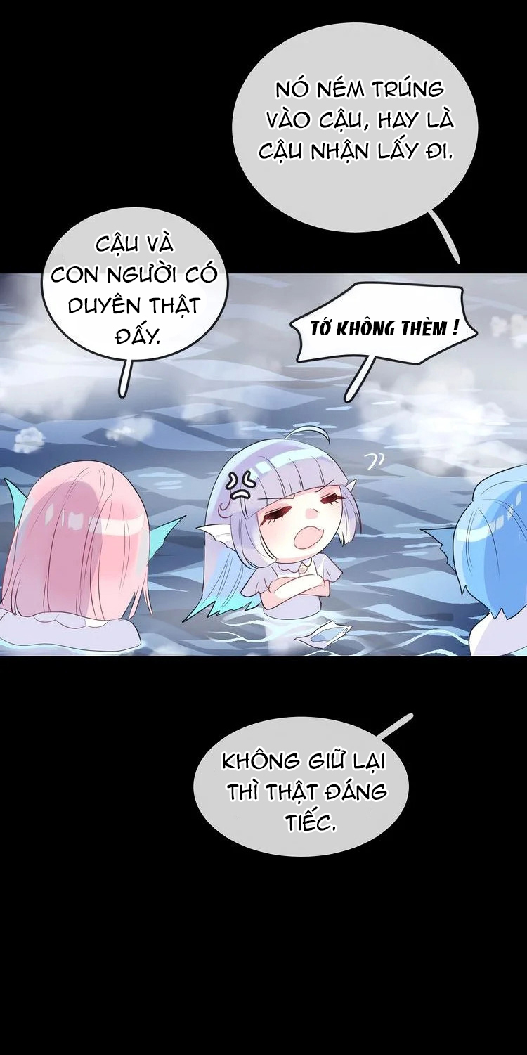 bộ váy của nàng tiên cá chapter 16 23