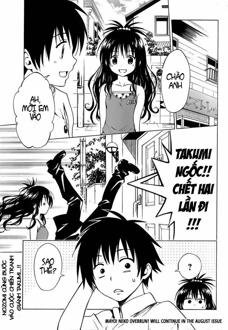 mayoi neko overrun! chapter 6 47