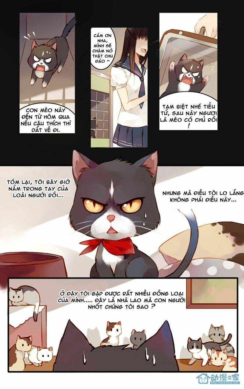 hằng mộng nam thần chapter 22 6