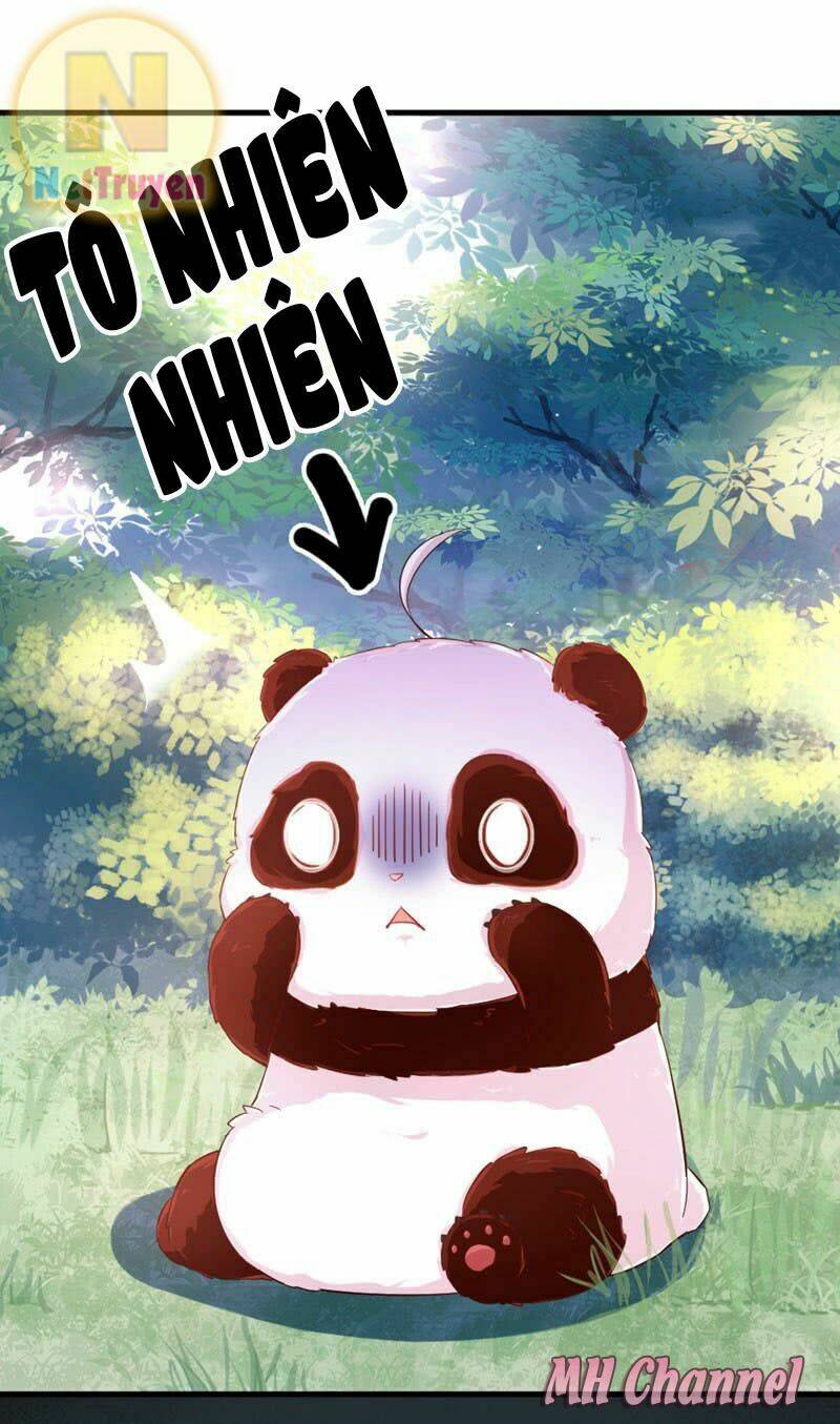 thiên thần gấu trúc muốn được ôm chapter 2 32