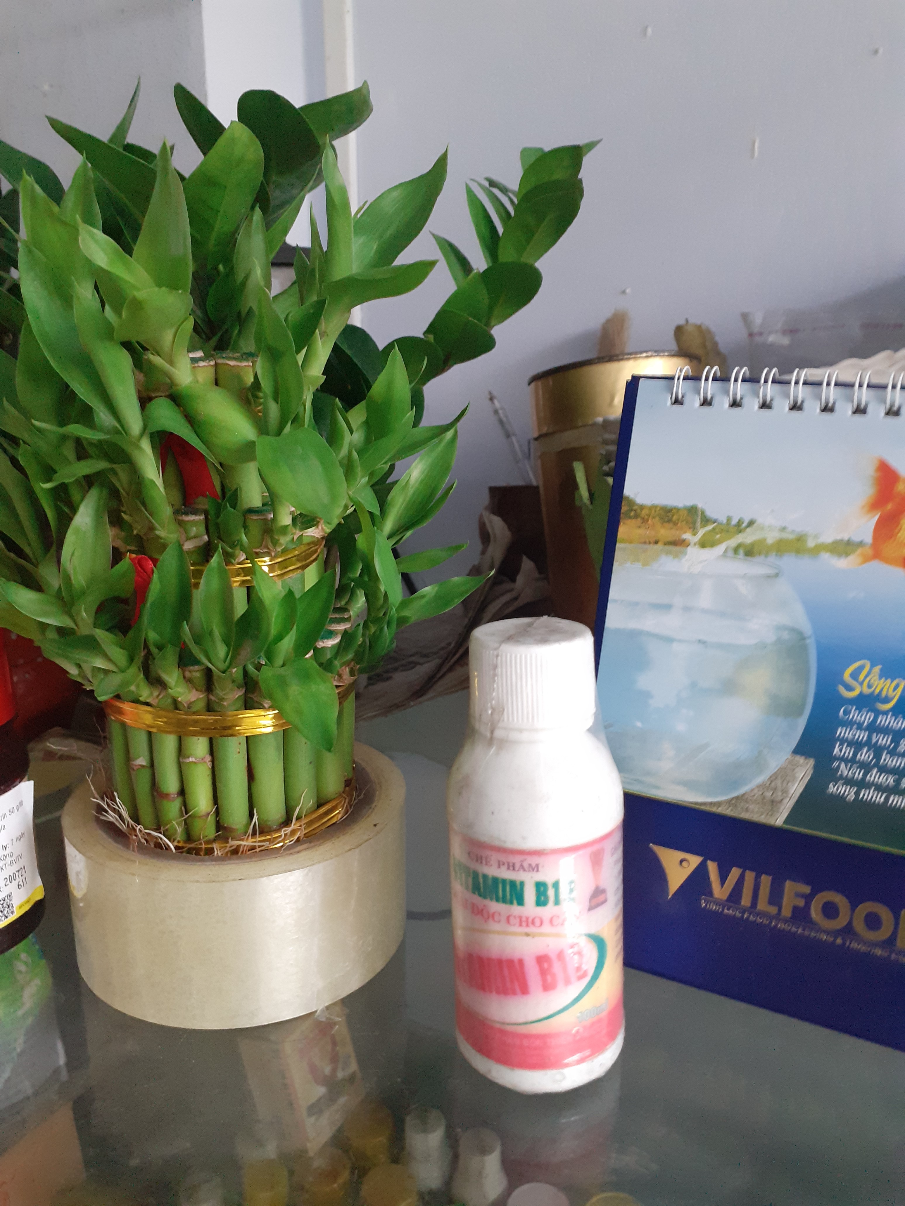 Chế phẩm giải độc cho cây Vitamin B12
