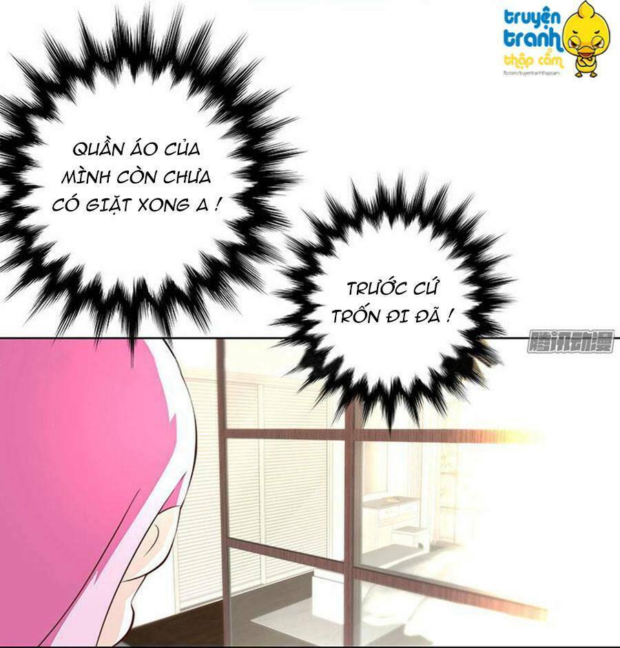 cường sủng hào môn tiểu manh thê chapter 22 30