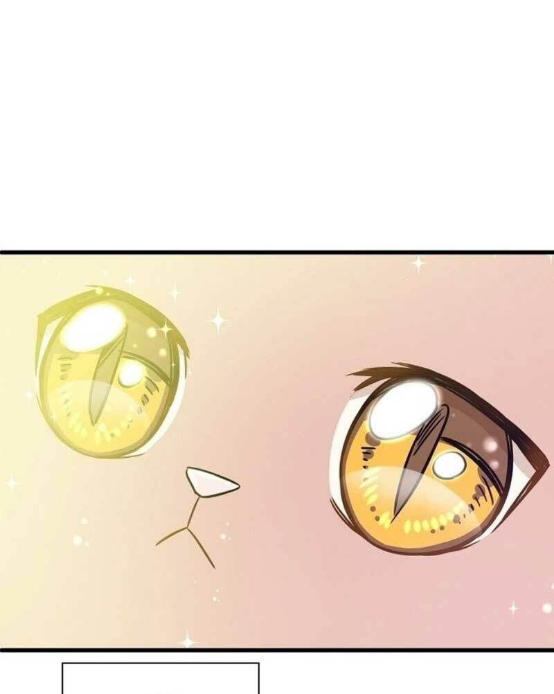 cuộc sống kỳ thú chapter 2 45