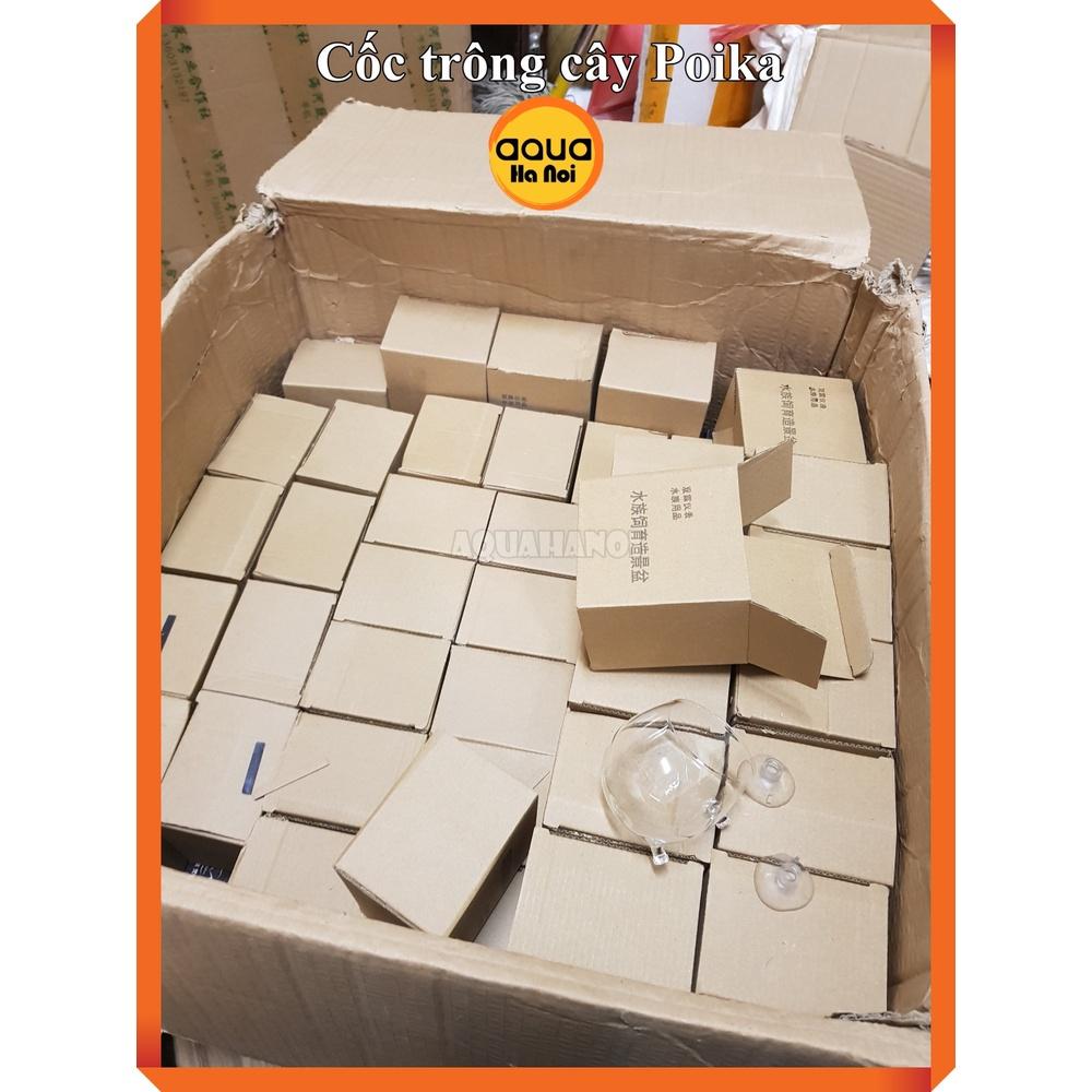 Cốc trồng cây thủy sinh trang trí hồ cá - Cốc thủy tinh Polka đựng phân nền - Tặng kèm cục hít thành hồ