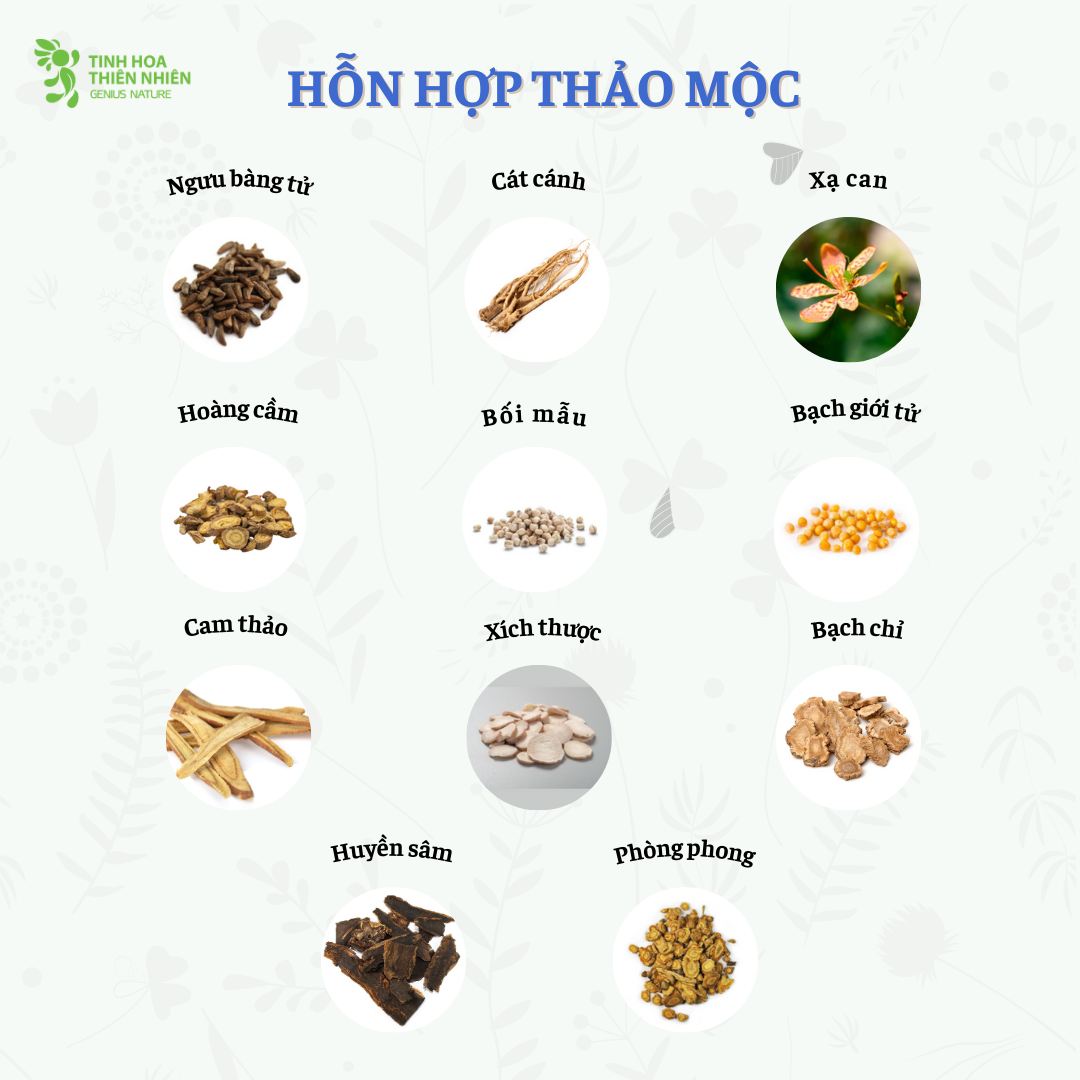 Viên ngậm Ho thảo mộc Zalocol hỗ trợ giảm đau rát họng, khản tiếng do viêm họng, viêm phế quản (Hộp 20 viên) - Genat