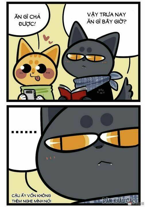 đời không như mình tưởng chapter 58 3