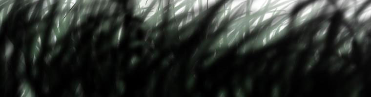 cổ tích về người mẹ kế chapter 90 376