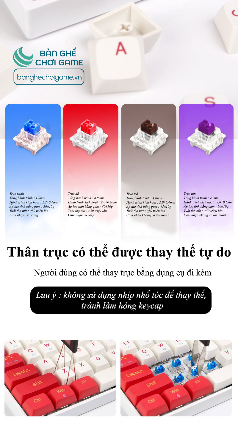 Bàn phím cơ không dây Bluetooth Newmen GM680 Jungle Hot Swap Outemu Switch - Hàng chính hãng