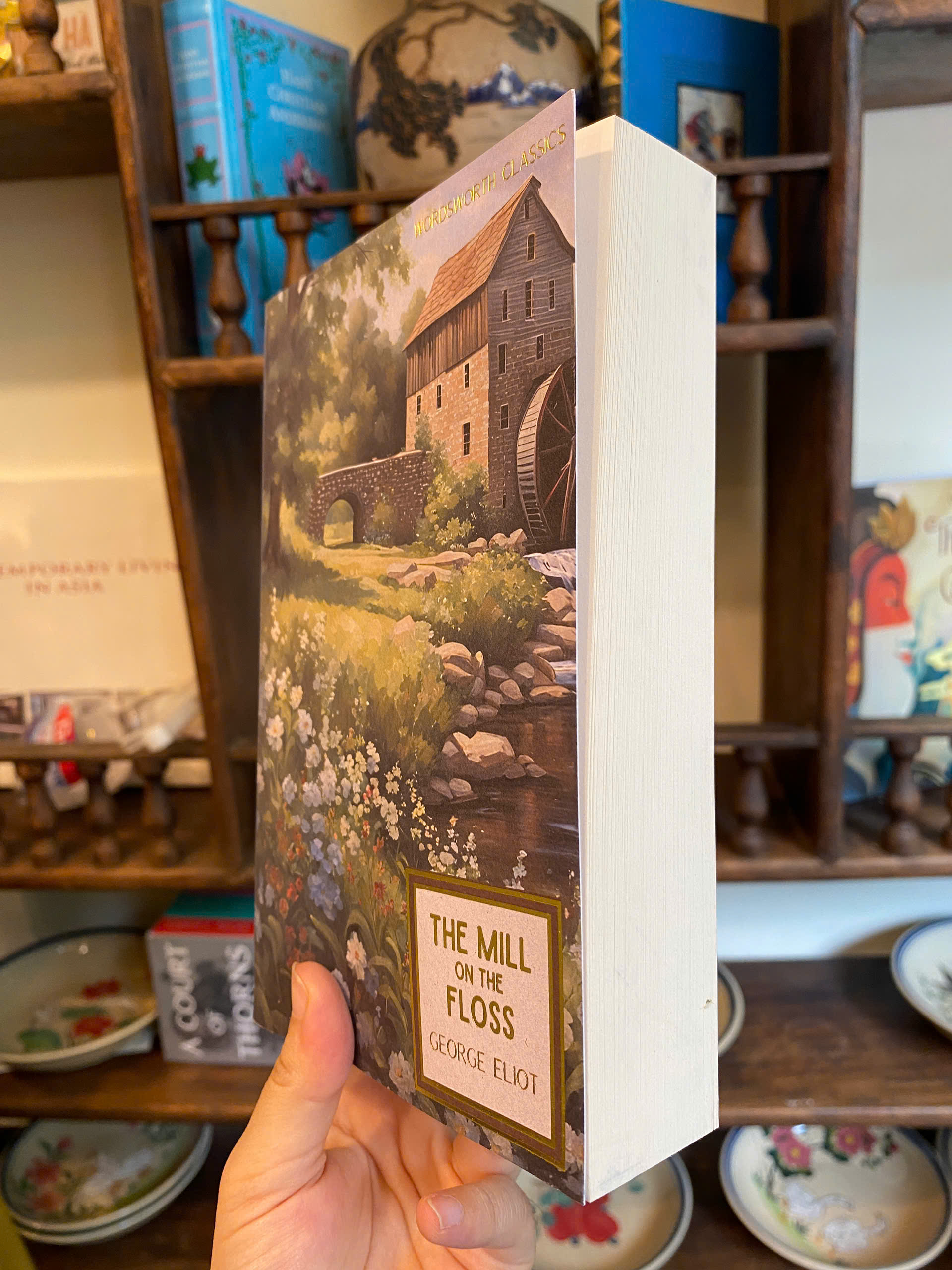 Sách - The Mill on the Floss (Wordsworth Classics) by George Eliot | English Fiction Book
