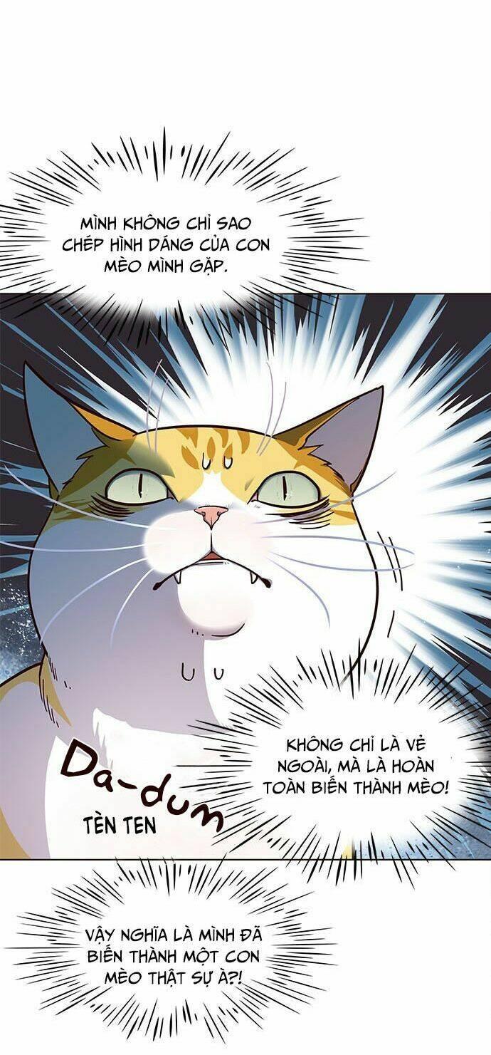 biến thân thành mèo chapter 16 12