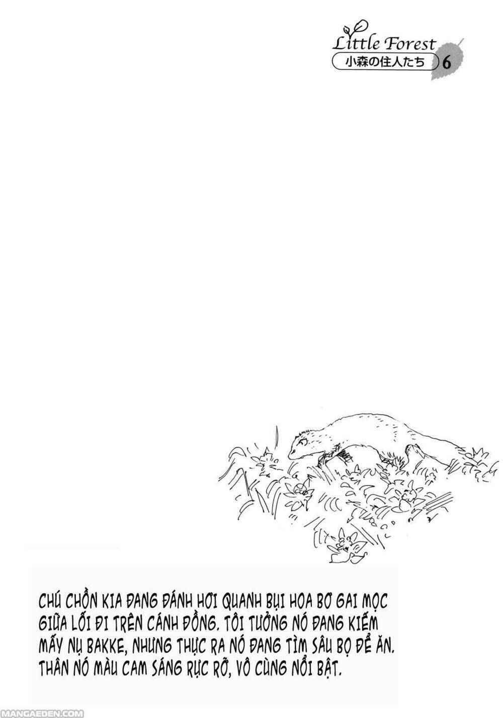 little forest chapter 6 12