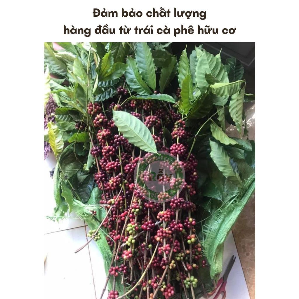 Cà phê Robusta Rẫy cao cấp từ hạt cafe chín 100%, đặc sản chế biến ướt, hậu vị ngọt