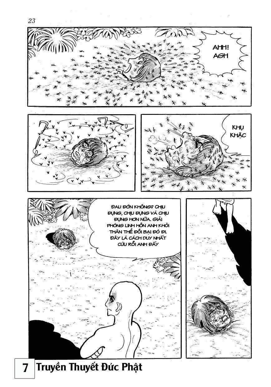 buddha - truyền thuyết đức phật chapter 30 22