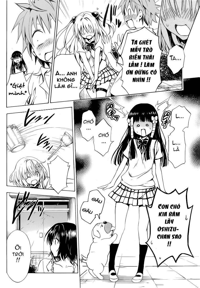 bọn tớ thích cậu! rito 2 - venus chapter 12 18