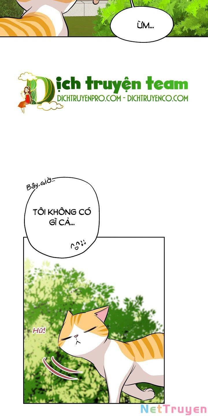 cuộc sống kỳ thú chapter 83 31